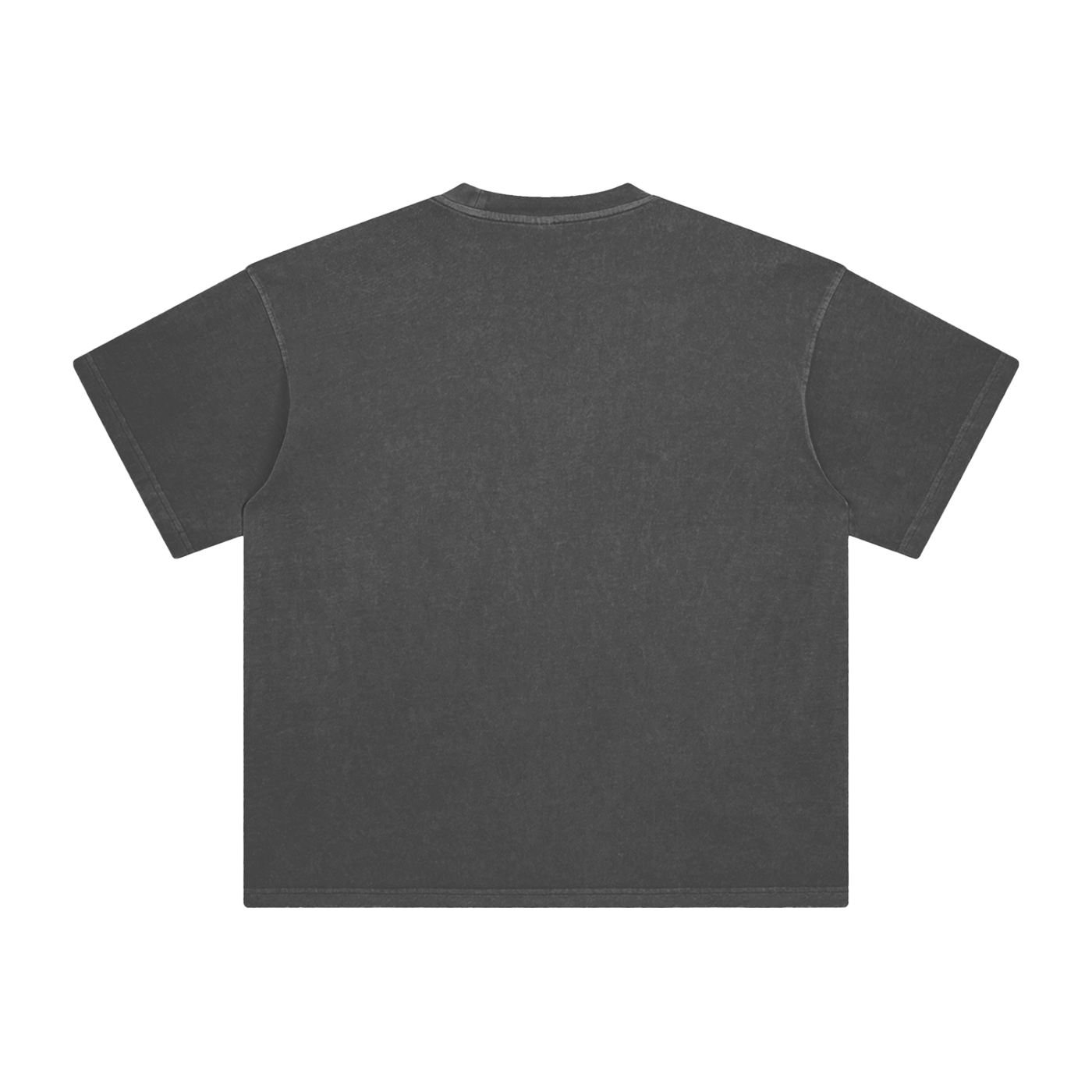 Defenders Co. Washed T-Shirt - LadyJustice